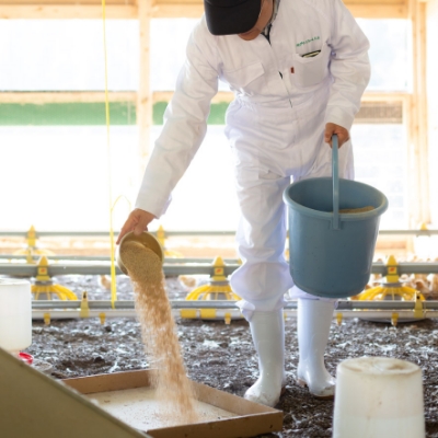 平飼い養鶏場　グリーンファーム久住