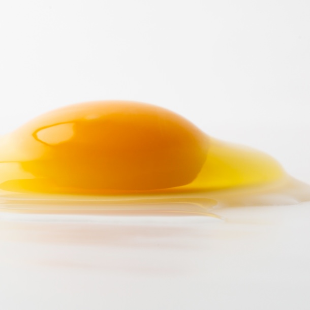 ぷっくりと盛り上がった卵の黄身
