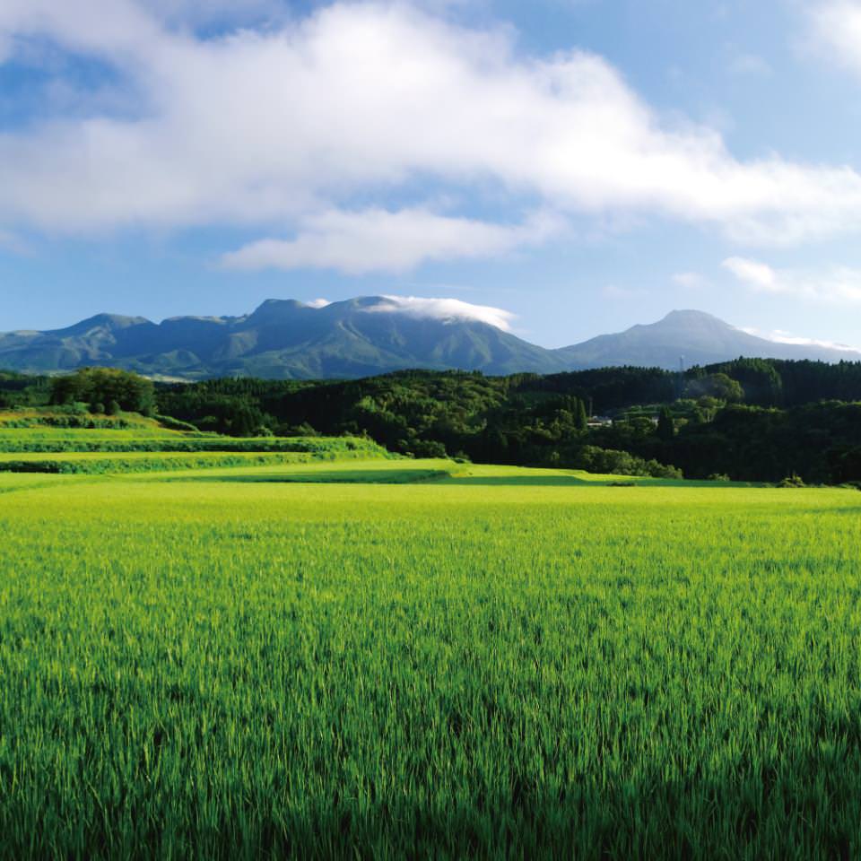 久住高原の風景